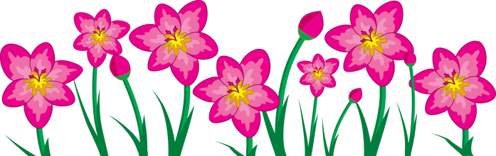 Freesia Flowers Illustration