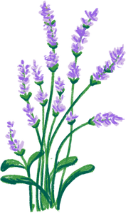 Colored Pencil Freehand Lilies